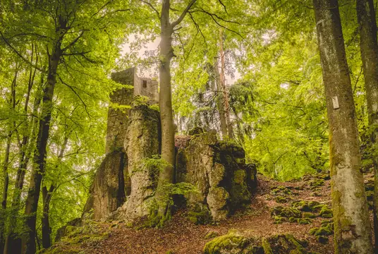 Ruine Poppberg