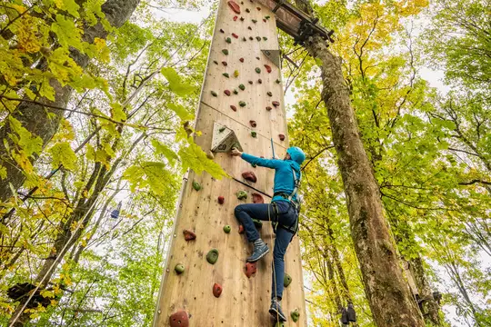 Kletterwald