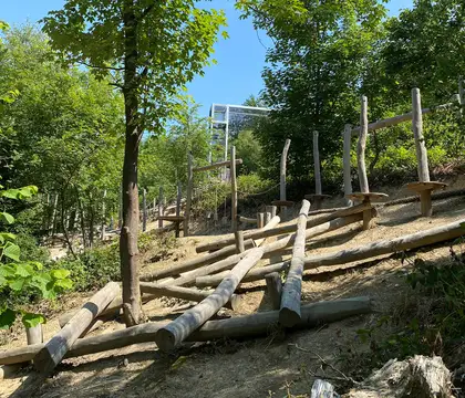 Niederseilgarten