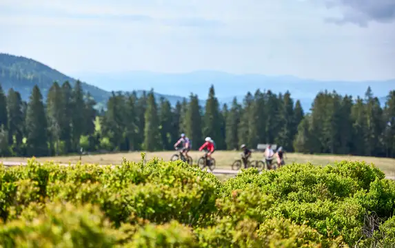 Ebiketour