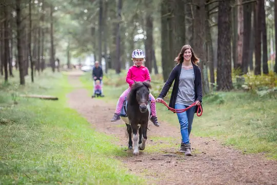 Ponyreiten