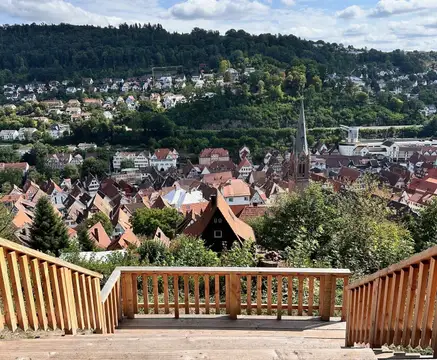 Panoramasteg