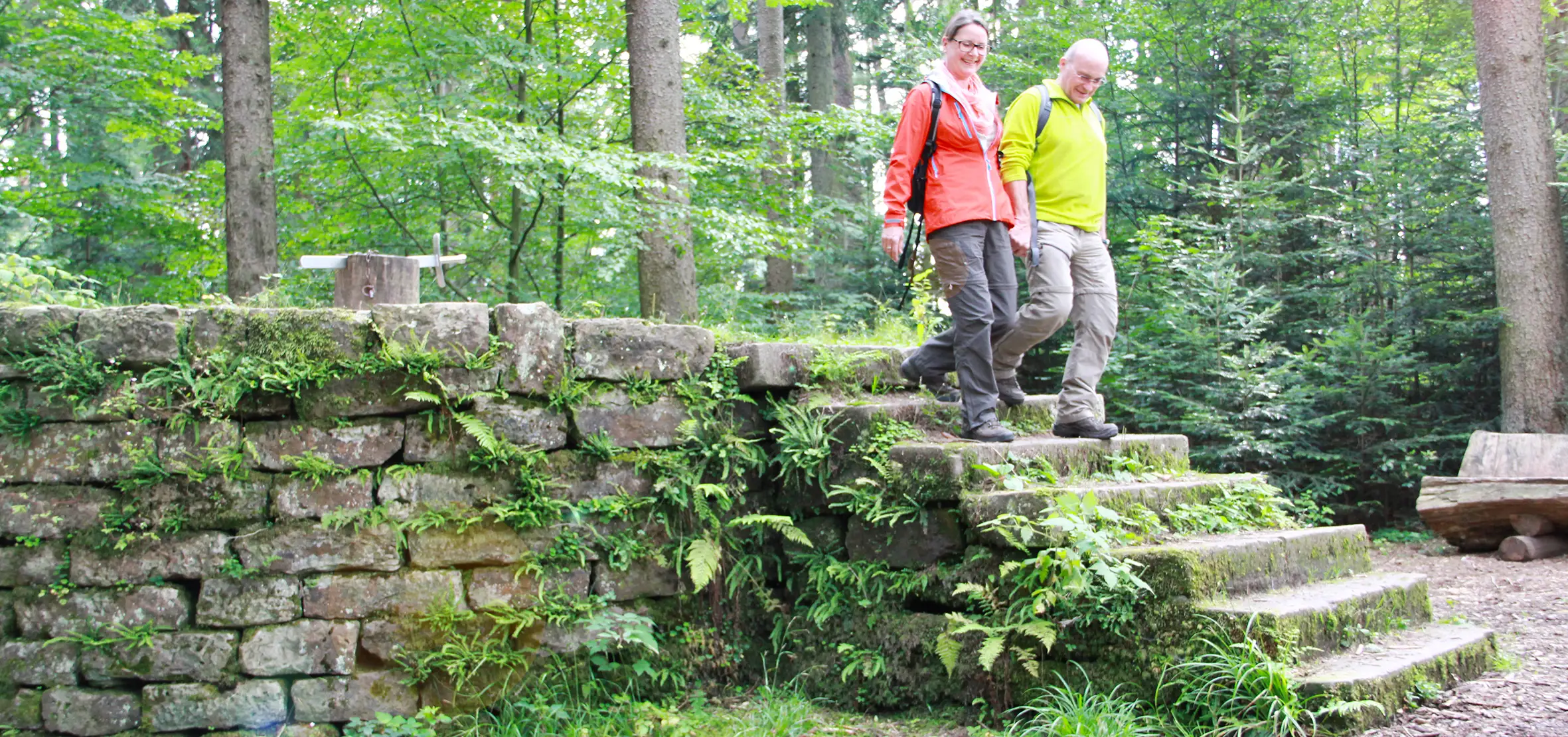 Calw – Premiumwanderung & Kultur im Schwarzwald
