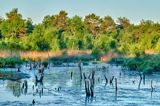 Cuxland, Südliches Cuxland – Großes Moor