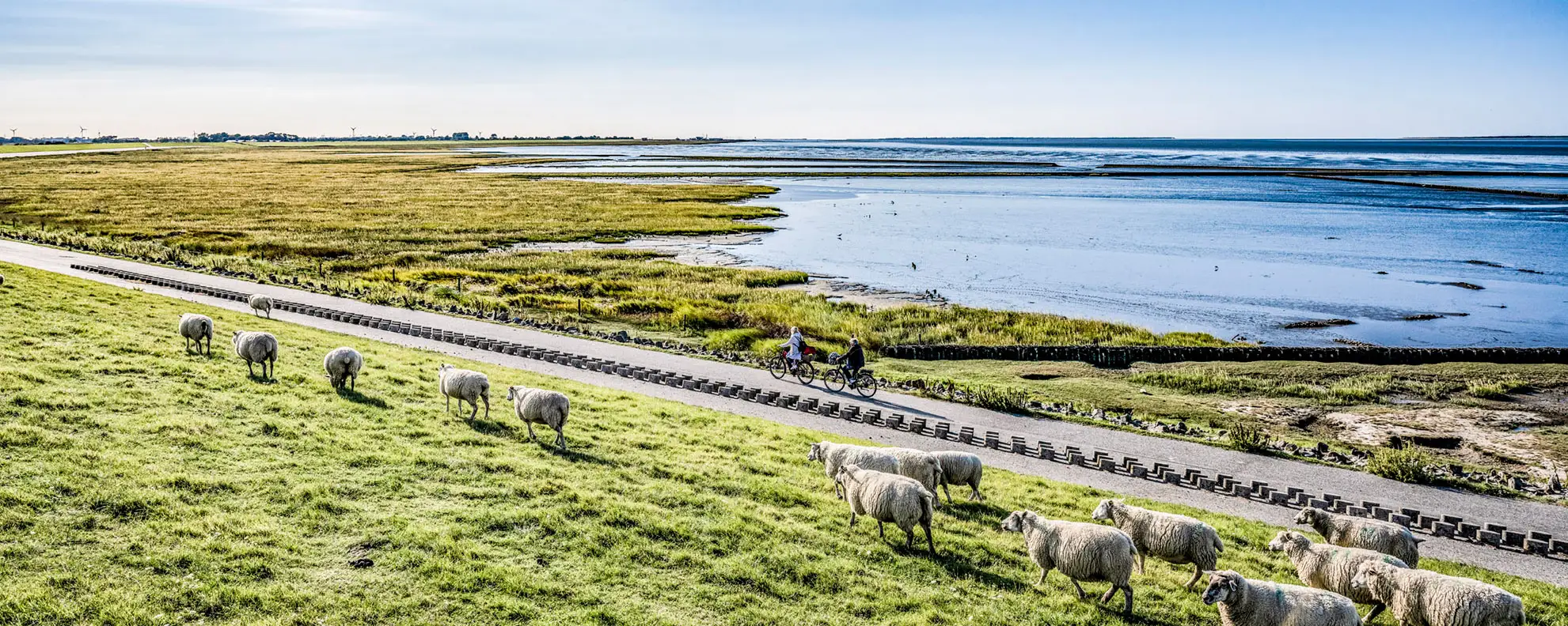 Dornum an der Nordsee – Deiche, Watt & Meer