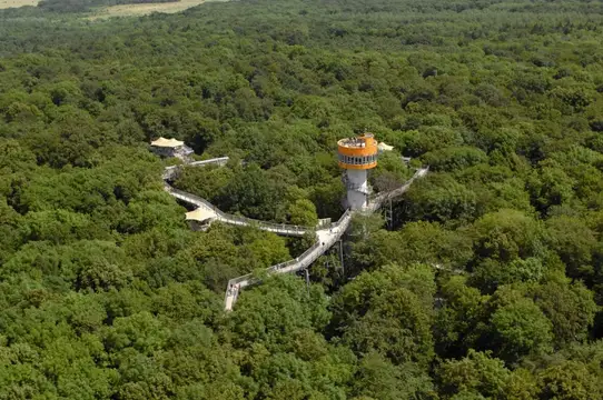 Baumkronenpfad im Nationalpark Hainich