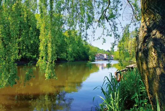Fuldaaue mit Fachwerkhäusern