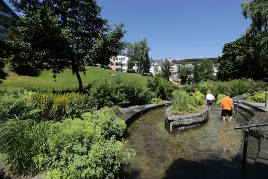 Willingen (Upland)