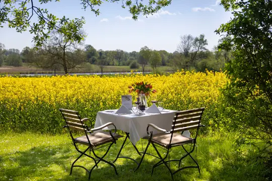 Tisch im Garten