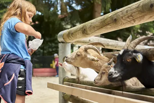 Bayerwald Tierpark