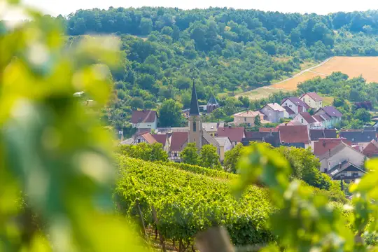 Weinort Beckstein