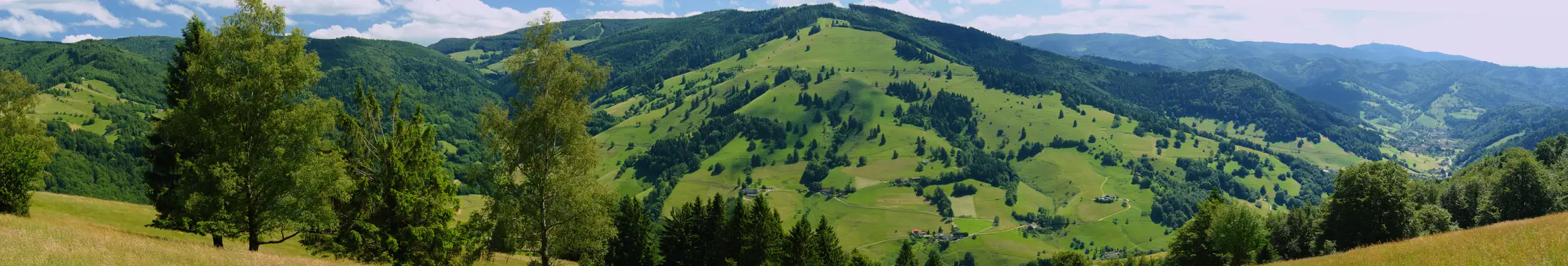 Schwarzwaldsüden
