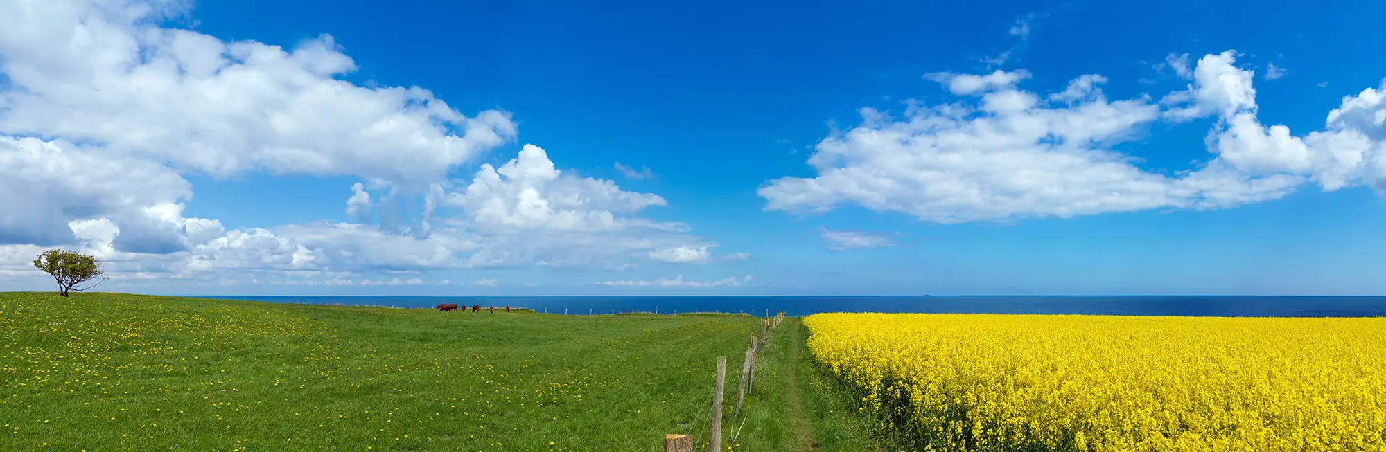 Ferienland Ostsee und Schlei – Urlaub in Kappeln und der Geltinger Bucht
