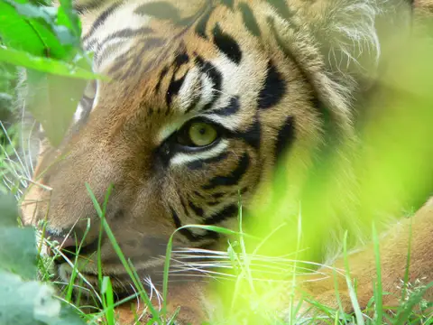 NaturZoo Rheine