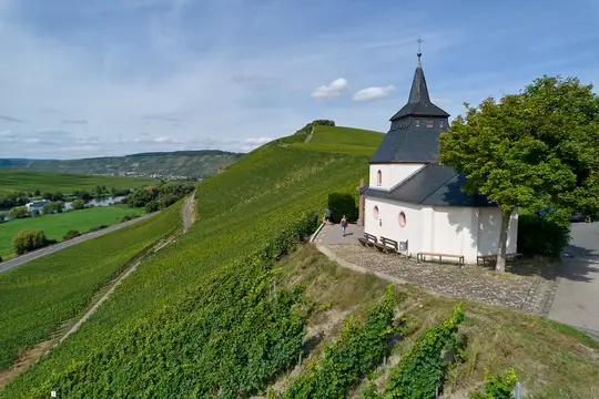 Trittenheim
