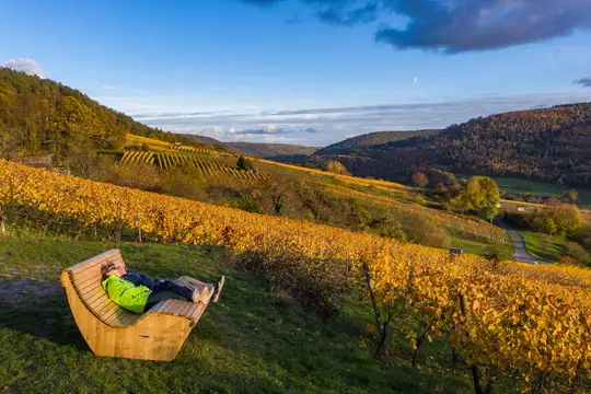 Wanderung in den Weinbergen bei Bürgstadt